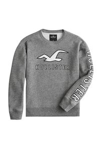 Hollister, Herren Sweatshirt 'BTS18-T158 ICONIC TECH LOGO CREW 3CC', Grau