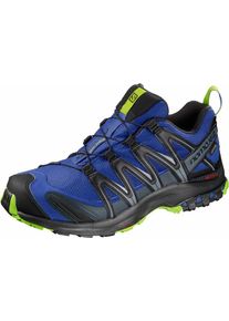 Salomon, Herren Laufschuh 'XA PRO 3D Gore-Tex', Blau