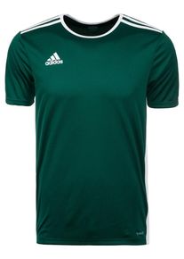 adidas Performance, Herren Fu&szlig;balltrikot 'Entrada 18', Tanne
