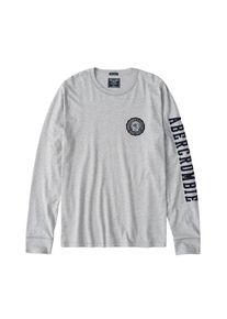 Abercrombie & Fitch Abercrombie & Fitch, Herren Langarmshirt 'TECH LEGACY CORE CCTRO', Grau