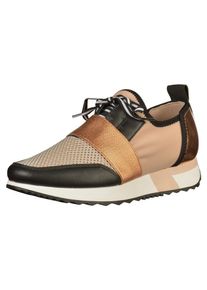 Steve Madden, Damen Sneaker, Gold / Rosegold / Schwarz