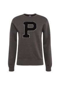 Polo Ralph Lauren, Herren Sweatshirt 'LSCNM15-LONG SLEEVE-KNIT', Taupe