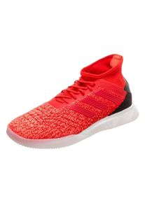 adidas Performance, Herren Fußballschuh 'Predator 19.1 Trainers Street', Rot