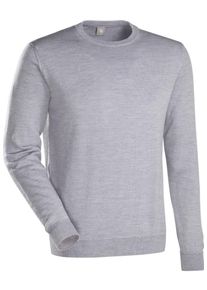 Jacques Britt, Herren Pullover ' Slim Fit ', Grau