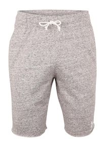 Under Armour, Herren Sport-Shorts 'SPORTSTYLE TERRY', Hellgrau / Wei&szlig;