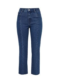 EDITED, Damen Denim Jeans 'Sydney', Blue Denim