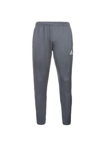 adidas Performance, Herren 'Core 15' Trainingshose, Grau / Weiß