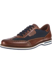 Galizio Torresi, Herren Schnürschuhe 'Biella', Navy / Braun