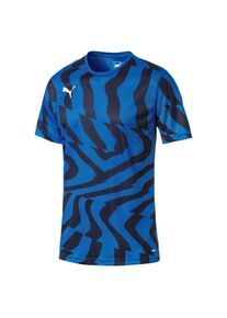 Puma, Herren Trikot 'Cup Core', Blau / Nachtblau
