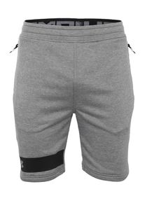 Under Armour, Herren Sporthose 'Tech Terry', Grau