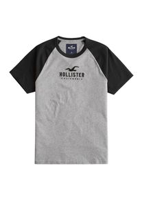 Hollister, Herren Shirts 'SS SB ICONIC TECH BLOCKING', Grau / Schwarz