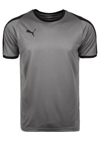 Puma, Herren Funktionsshirt, Dunkelgrau