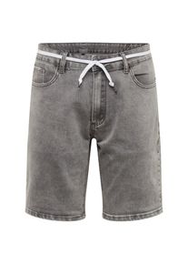 Iriedaily, Herren Shorts 'Slim Shot2', Grau
