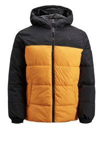 Jack & Jones JACK & JONES, Herren Jacke, Goldgelb / Schwarz