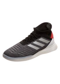 adidas Performance, Herren Fu&szlig;ballschuh 'Predator 19.1 Trainers Street', Grau