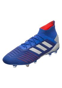 adidas Performance, Herren Fu&szlig;ballschuhe 'Predator 19.1 FG BC0552', Blau / Silber