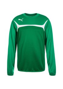 Puma, Herren Esito 3 Trainingssweat , Grün
