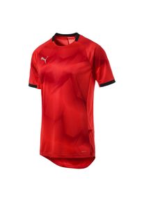 Puma, Herren T-Shirt, Rot