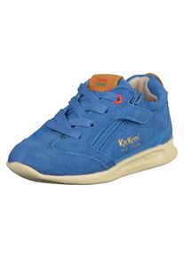 Kickers, Sneaker, Himmelblau / Cognac