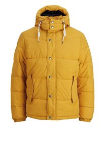 Jack & Jones JACK & JONES, Herren Jacke, Goldgelb