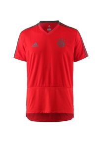 adidas Performance, Herren Funktionsshirt 'FC Bayern', Hellrot