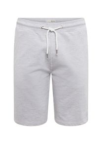 !Solid, Herren Shorts 'REGULAR-MORGAN', Hellgrau
