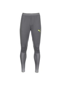 Puma, Herren 'evoTRG Tech' Trainingshose , Grau