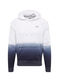 Hollister, Herren Sweatshirt 'DTC LC PO 10CC', Grau / Schwarz