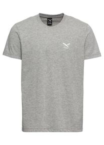 Iriedaily, Herren T-Shirt 'Chestflag Tee', Graumeliert