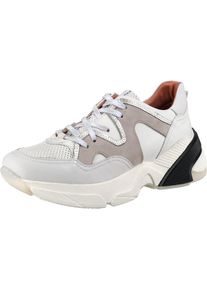 Mjus, Damen Sneakers, Grau / Greige / Schwarz / Wei&szlig;