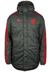 adidas Performance, Herren FC Bayern M&uuml;nchen Winterparka, Grau