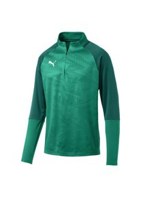 Puma, Herren Sweatshirt, Gr&uuml;n / Dunkelgr&uuml;n