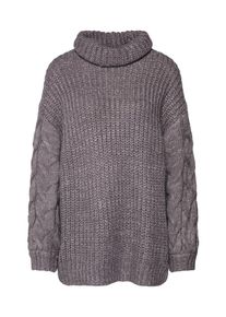 Native Youth, Damen Pulli 'PHONOX', Grau