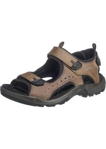 Ecco, Herren Sandalen, Braun