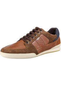 Geox, Herren Sneakers, Navy / Braun / Rostbraun