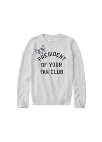 Abercrombie & Fitch Abercrombie & Fitch, M&auml;dchen Pullover, Grau