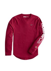 Hollister, Herren Shirt 'LS CO-OP PRINT LOGO', Rot