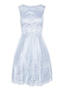 Apart, Damen Tüllkleid mit floraler Stickerei, Hellblau
