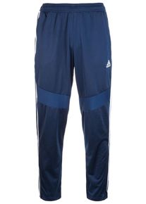 adidas Performance, Herren Trainingshose 'Tiro 19', Blau