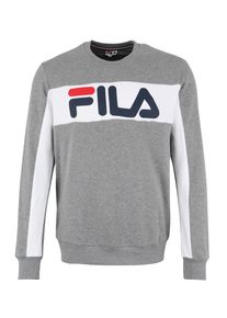 Fila, Herren Sportsweatshirt 'Randy', Grau