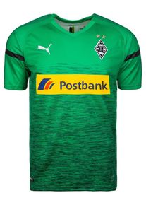 Puma, Herren Trikot 'Borussia Mönchengladbach 3rd 2018/2019', Grün / Mischfarben