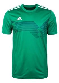 adidas Performance, Herren Fu&szlig;balltrikot 'Campeon 19 DP6809', Gr&uuml;n / Wei&szlig;
