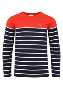 Lacoste, Pullover, Kobaltblau / Rot / Wei&szlig;