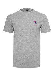 Mister Tee, Herren T-Shirt 'Dolphin', Grau