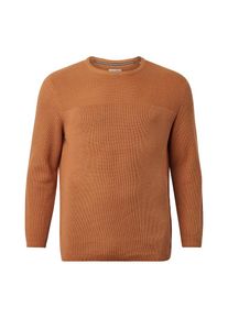Tom Tailor Denim, Herren Pullover, Chamois