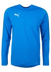 Puma, Herren 'Final' Trainingsshirt, Royalblau