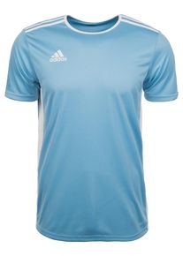 adidas Performance, Herren Fußballtrikot 'Entrada 18', Hellblau / Weiß