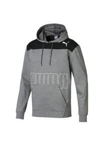 Puma, Herren Hoodie, Grau / Schwarz