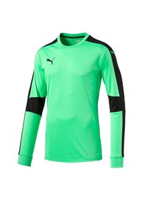 Puma, Herren Torwarttrikot 'Triumphant', Limette / Schwarz