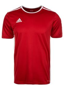 adidas Performance, Herren Fu&szlig;balltrikot 'Entrada 18', Rot / Wei&szlig;